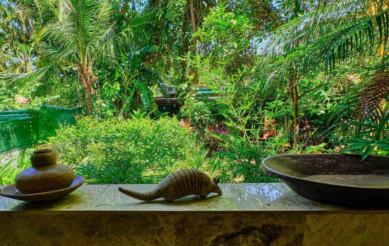 Apartament Casa Smilin' Dog Tamarindo Zewnętrze zdjęcie
