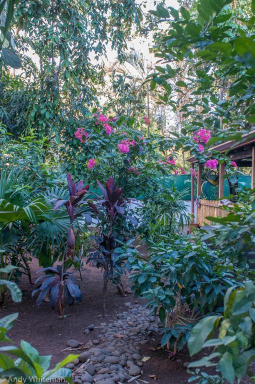 Apartament Casa Smilin' Dog Tamarindo Pokój zdjęcie