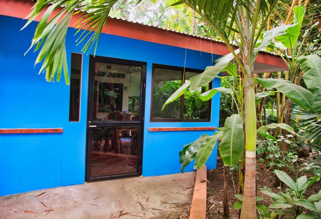 Apartament Casa Smilin' Dog Tamarindo Zewnętrze zdjęcie